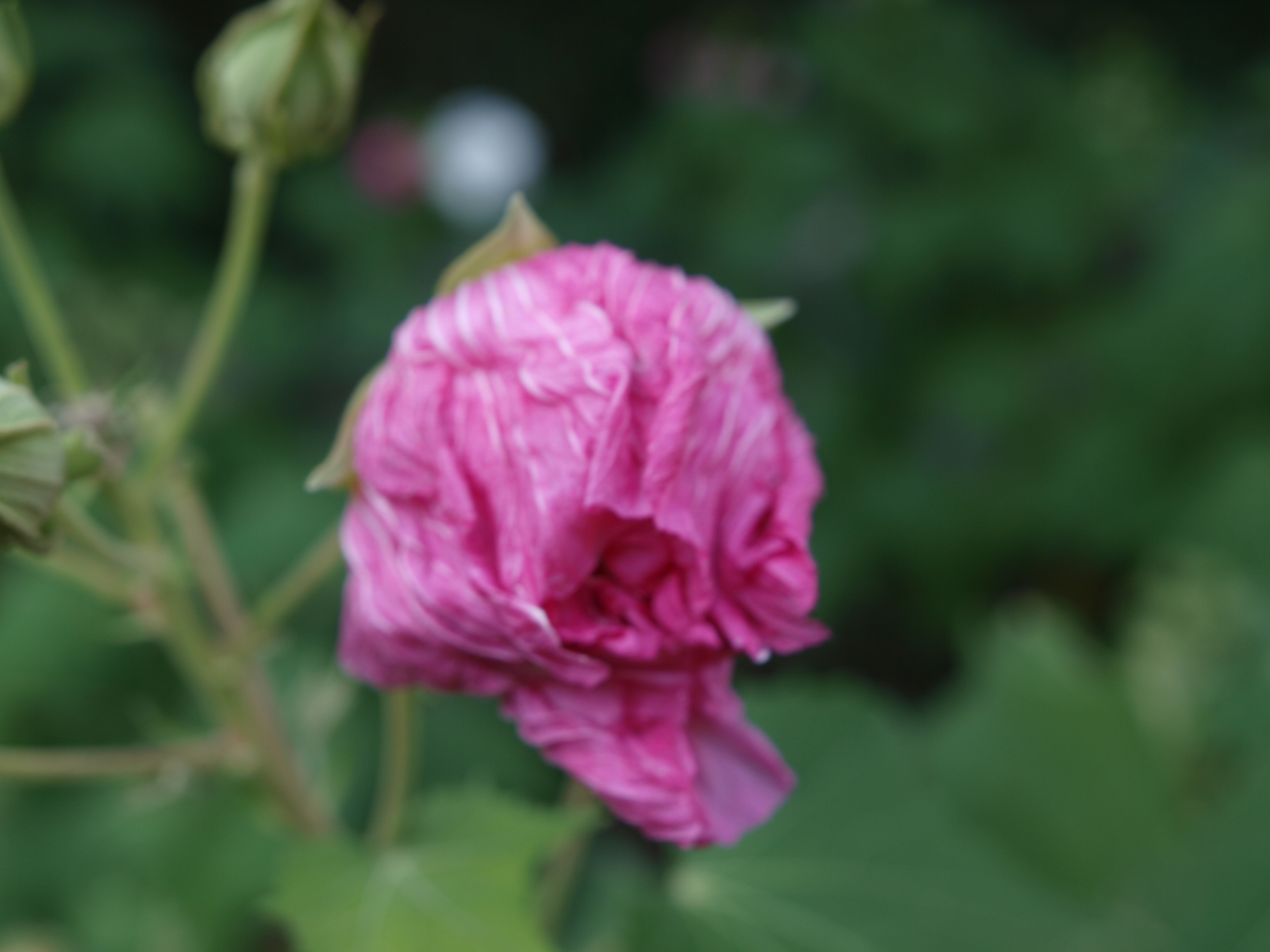 P9274738.JPG