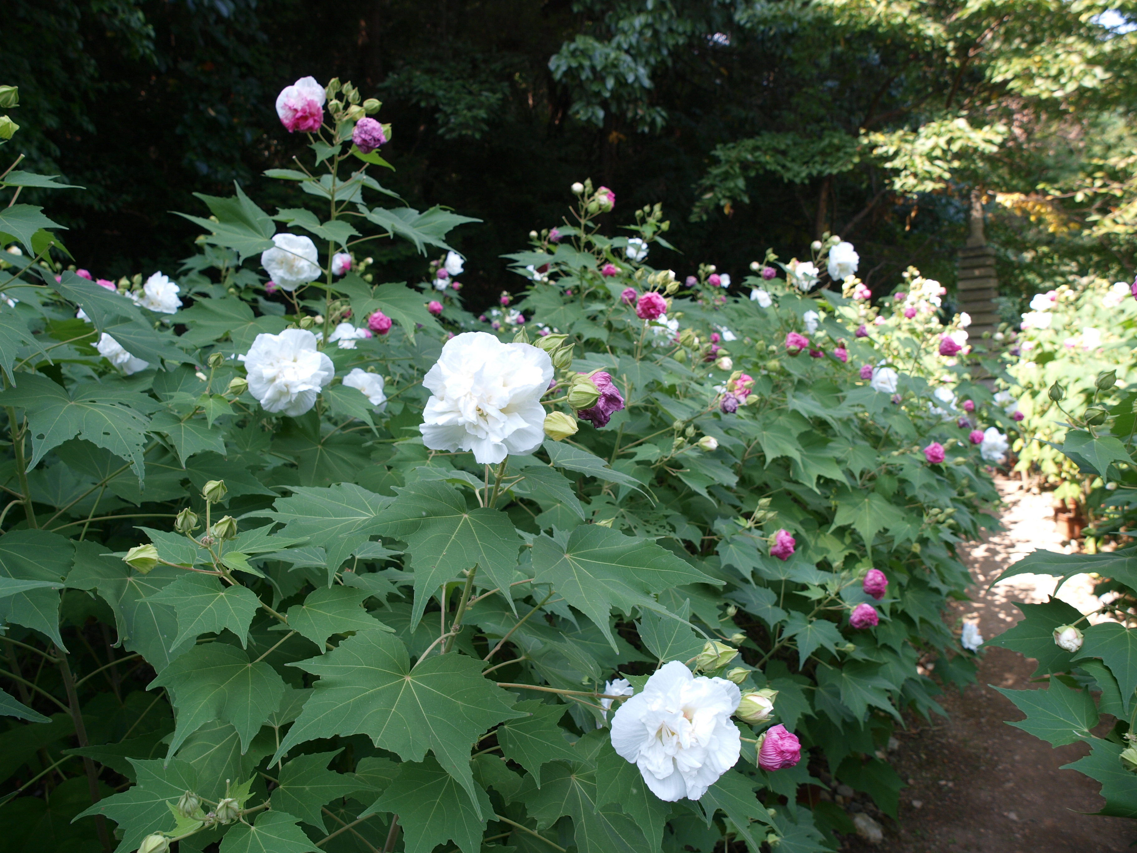 P9274740.JPG
