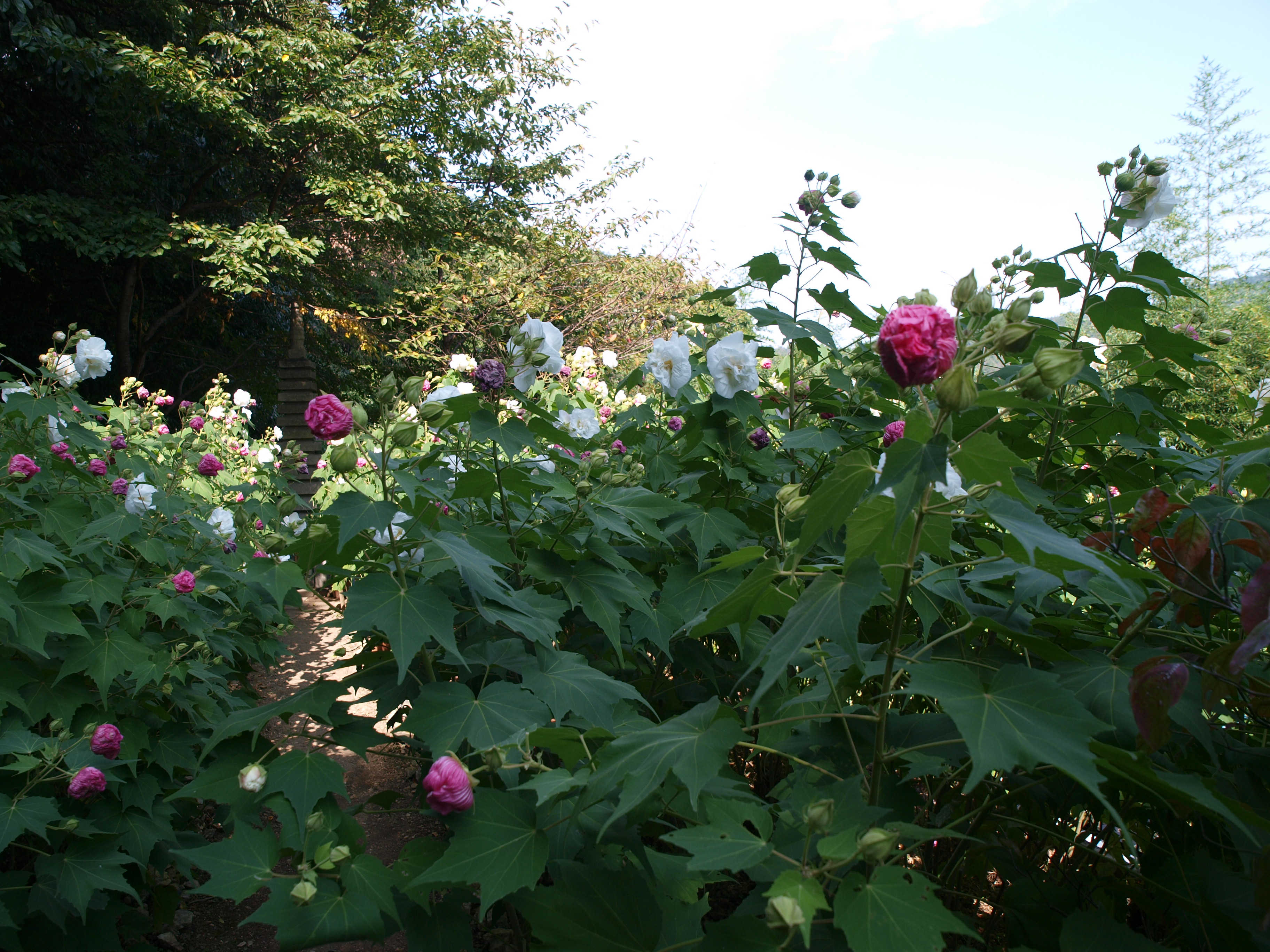 P9274741.JPG