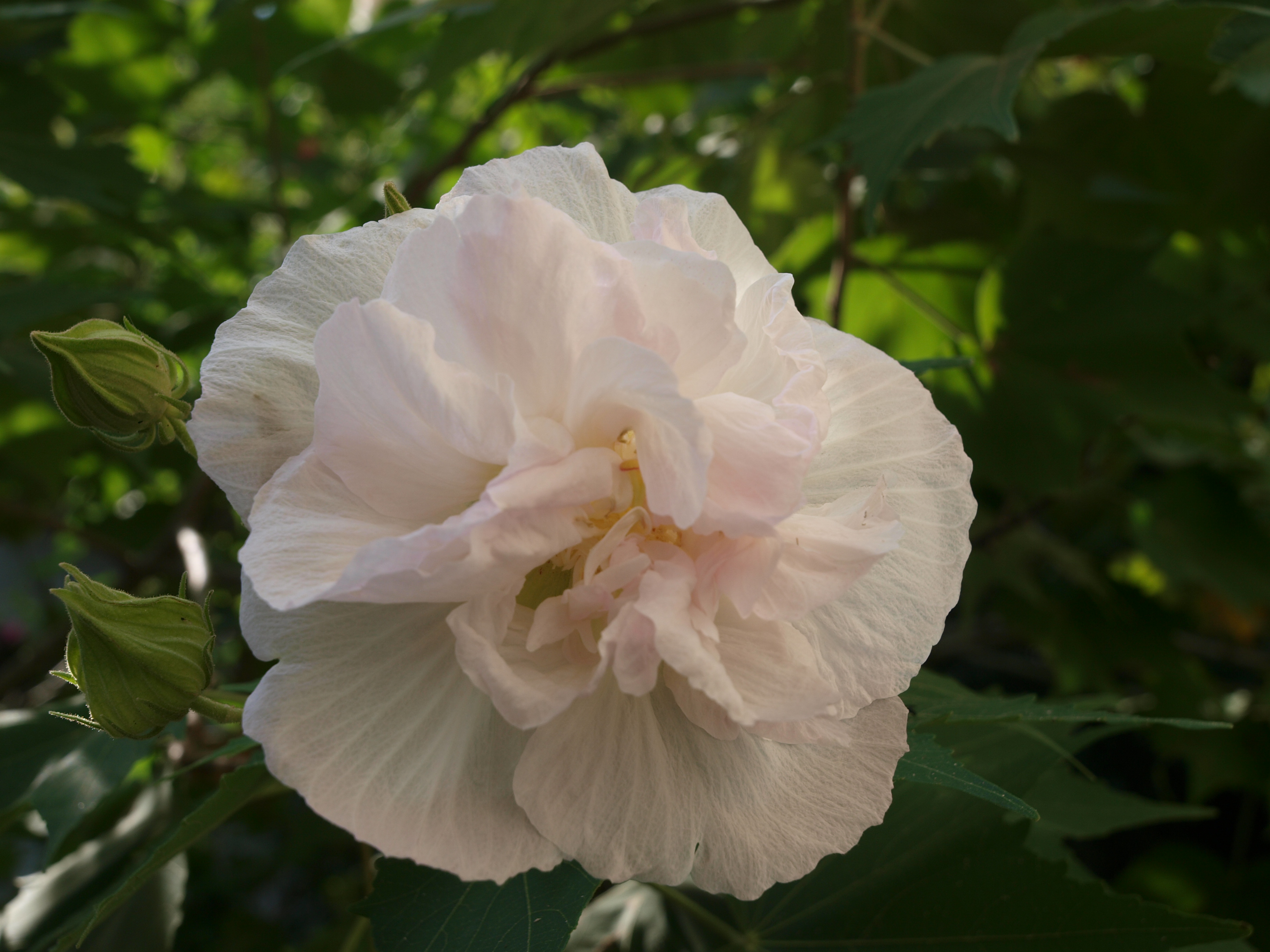 P9274751.JPG