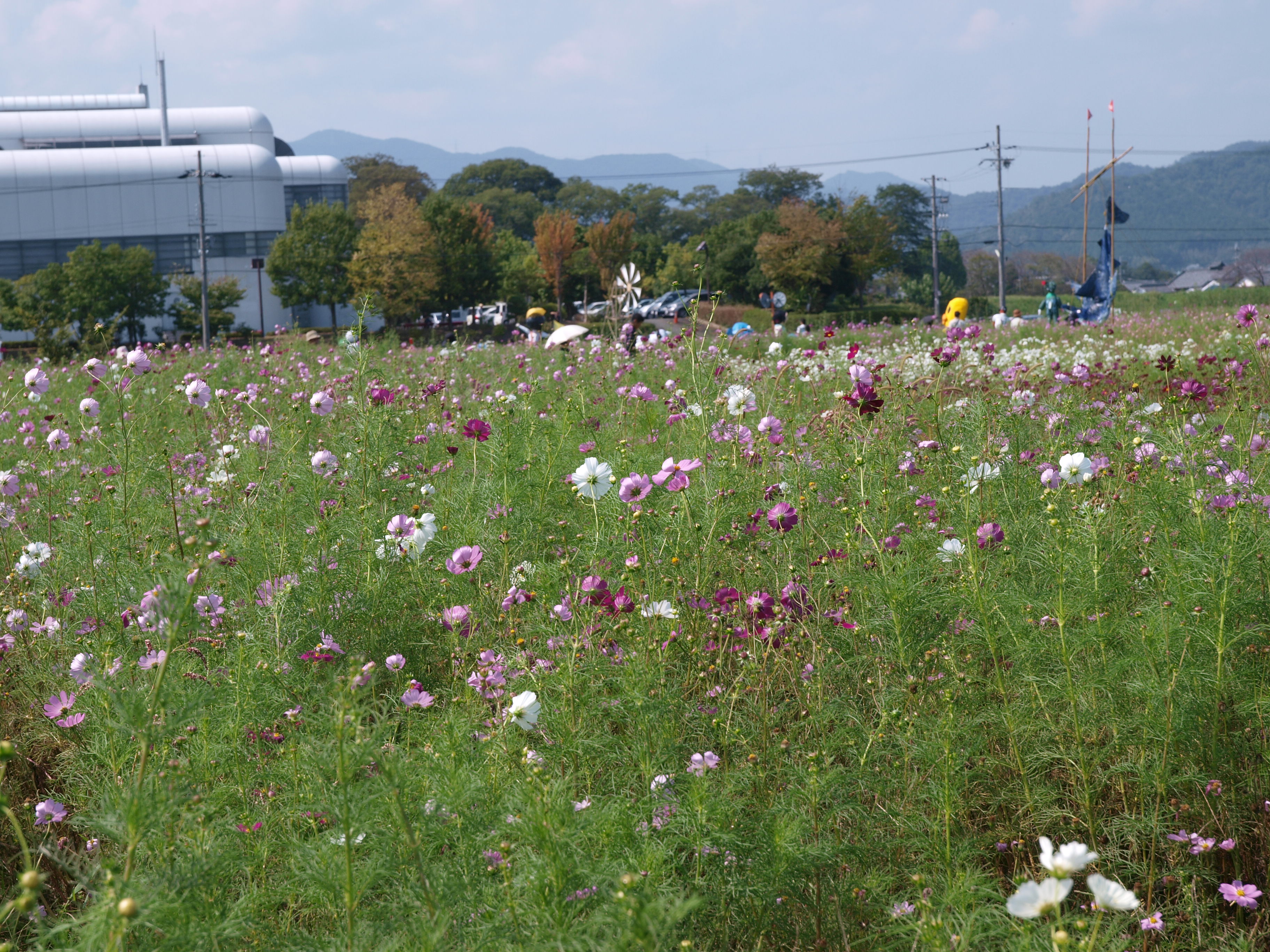 P9274766.JPG