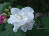 img0013.jpg