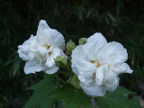 img0014.jpg