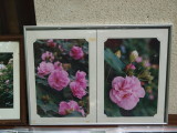 img0015.jpg