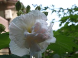 img0021.jpg