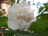 img0022.jpg