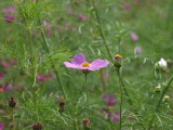 img0028.jpg