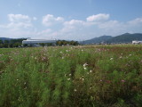 img0031.jpg