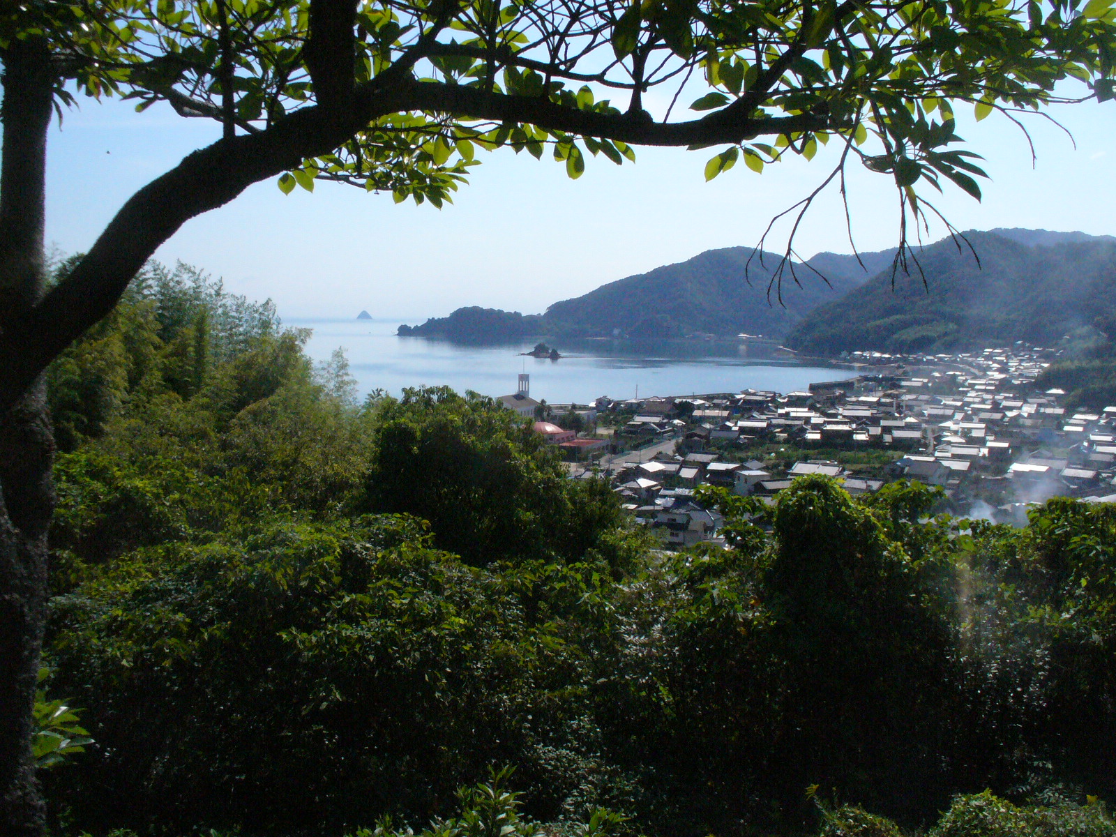 P1130032.JPG