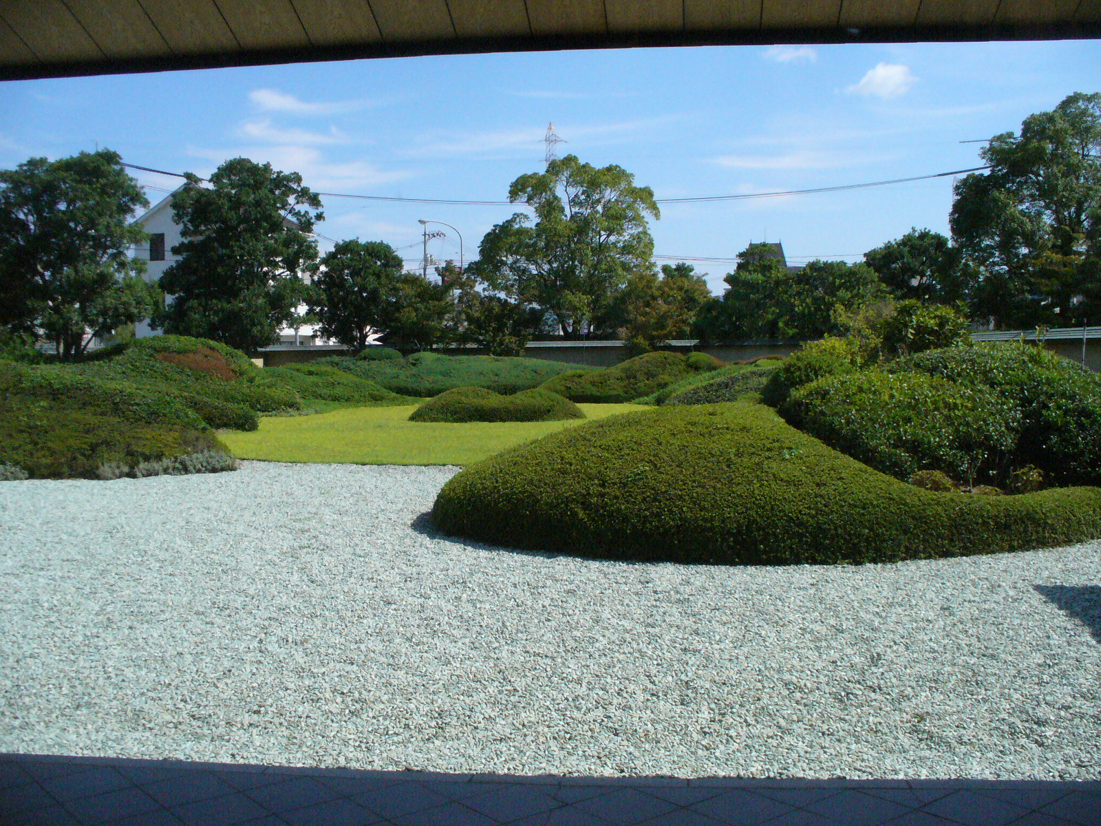 P1130041.JPG
