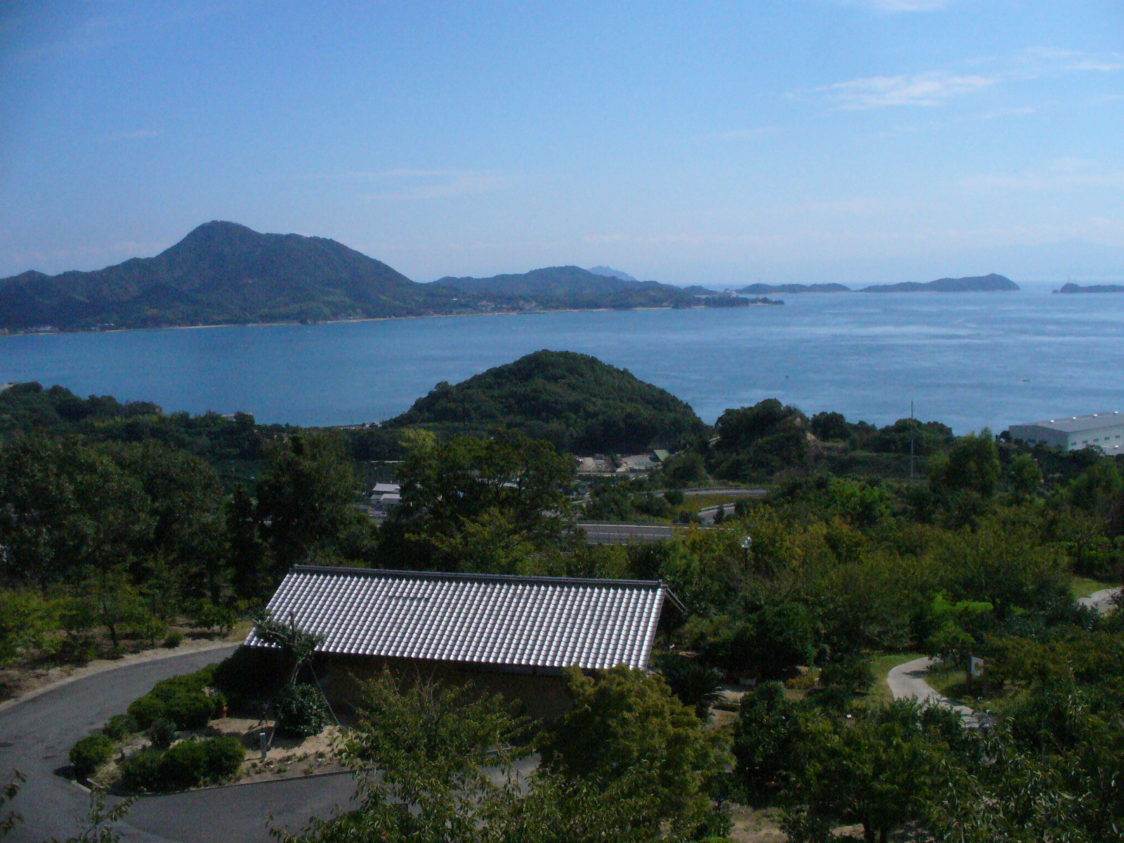 P1130066.JPG