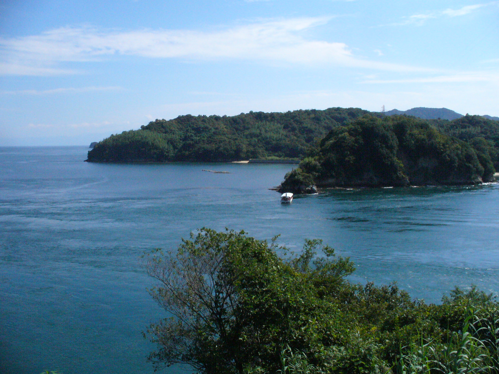 P1130083.JPG