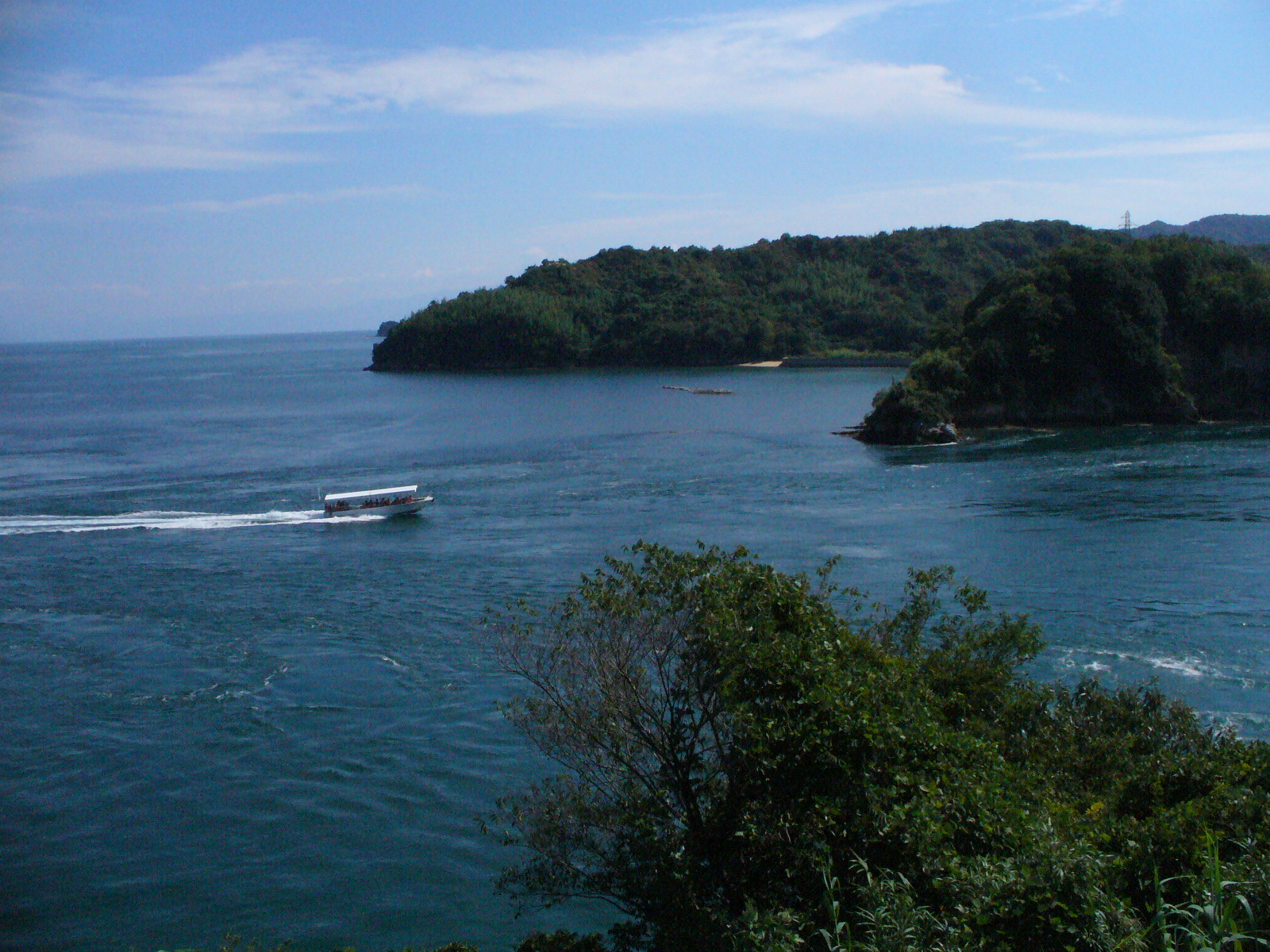 P1130086.JPG
