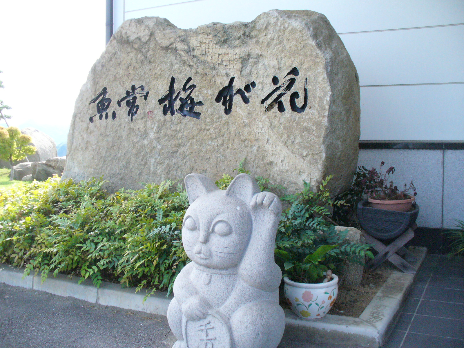 P1130100.JPG