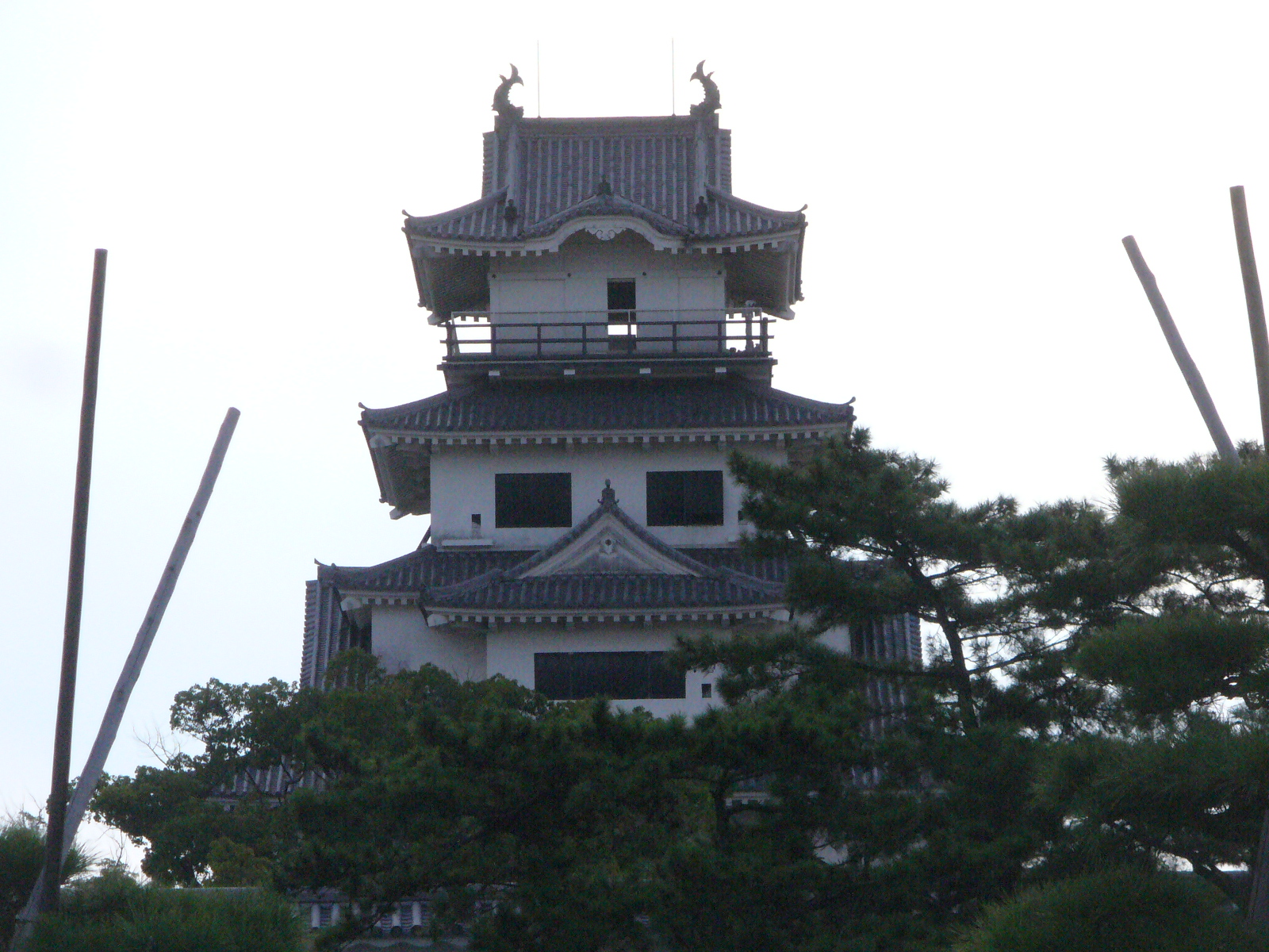 P1130121.JPG
