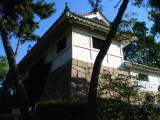 img0011.jpg