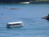 img0078.jpg