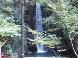 img0029.jpg