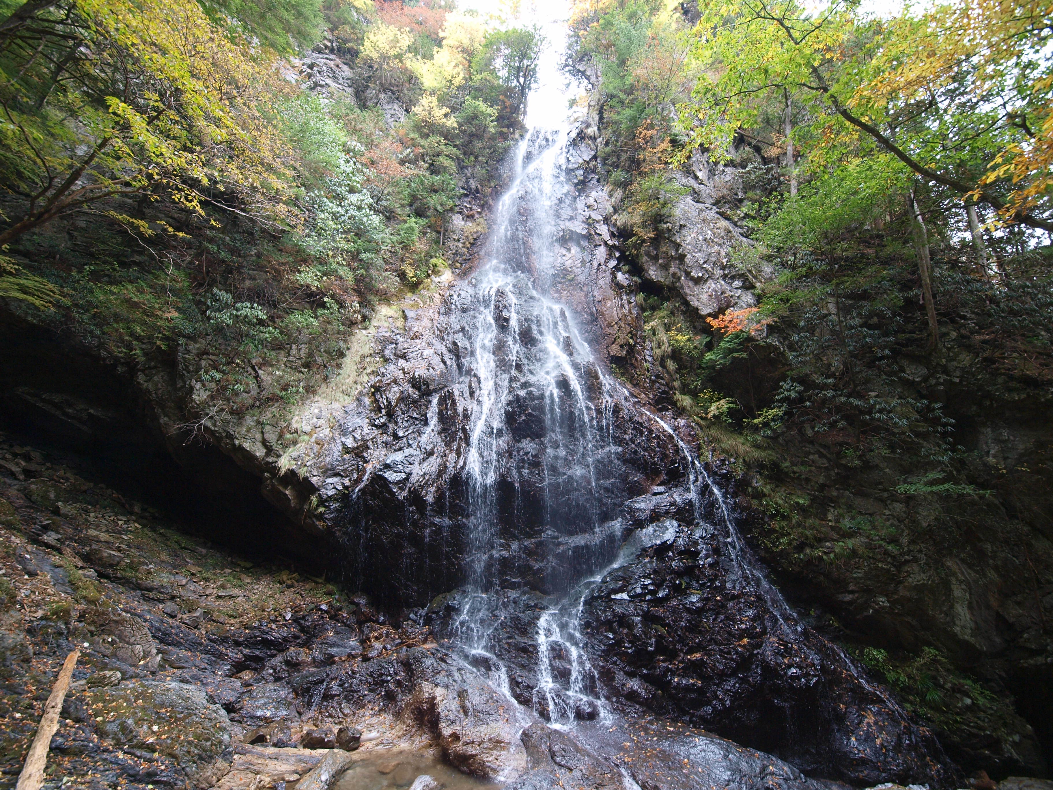 PA254826.JPG
