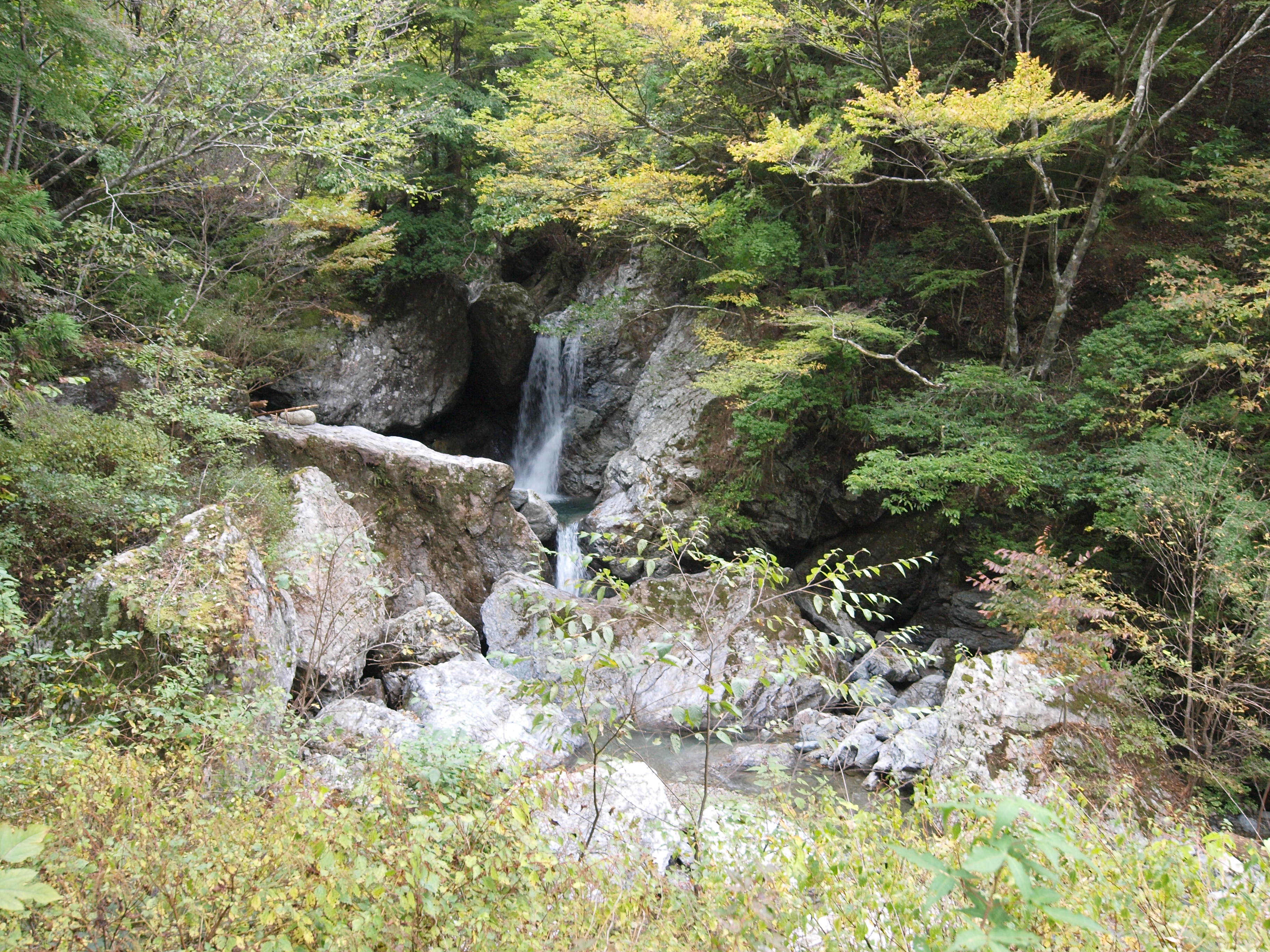PA254838.JPG
