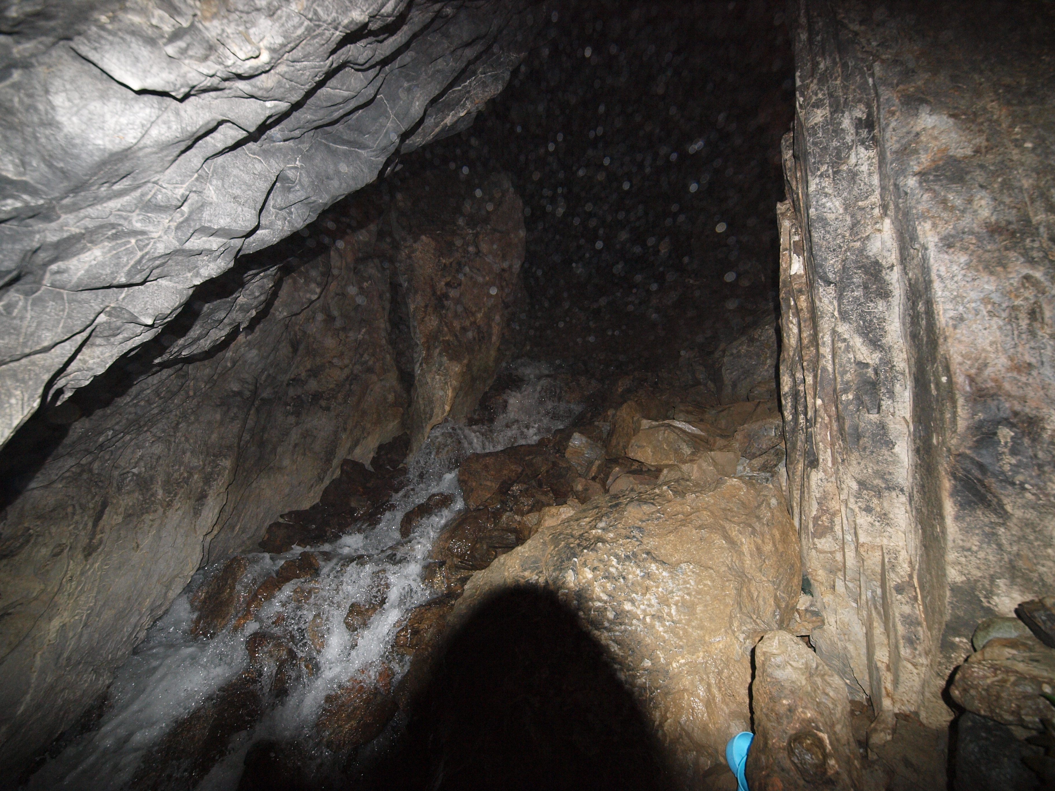 PA254842.JPG