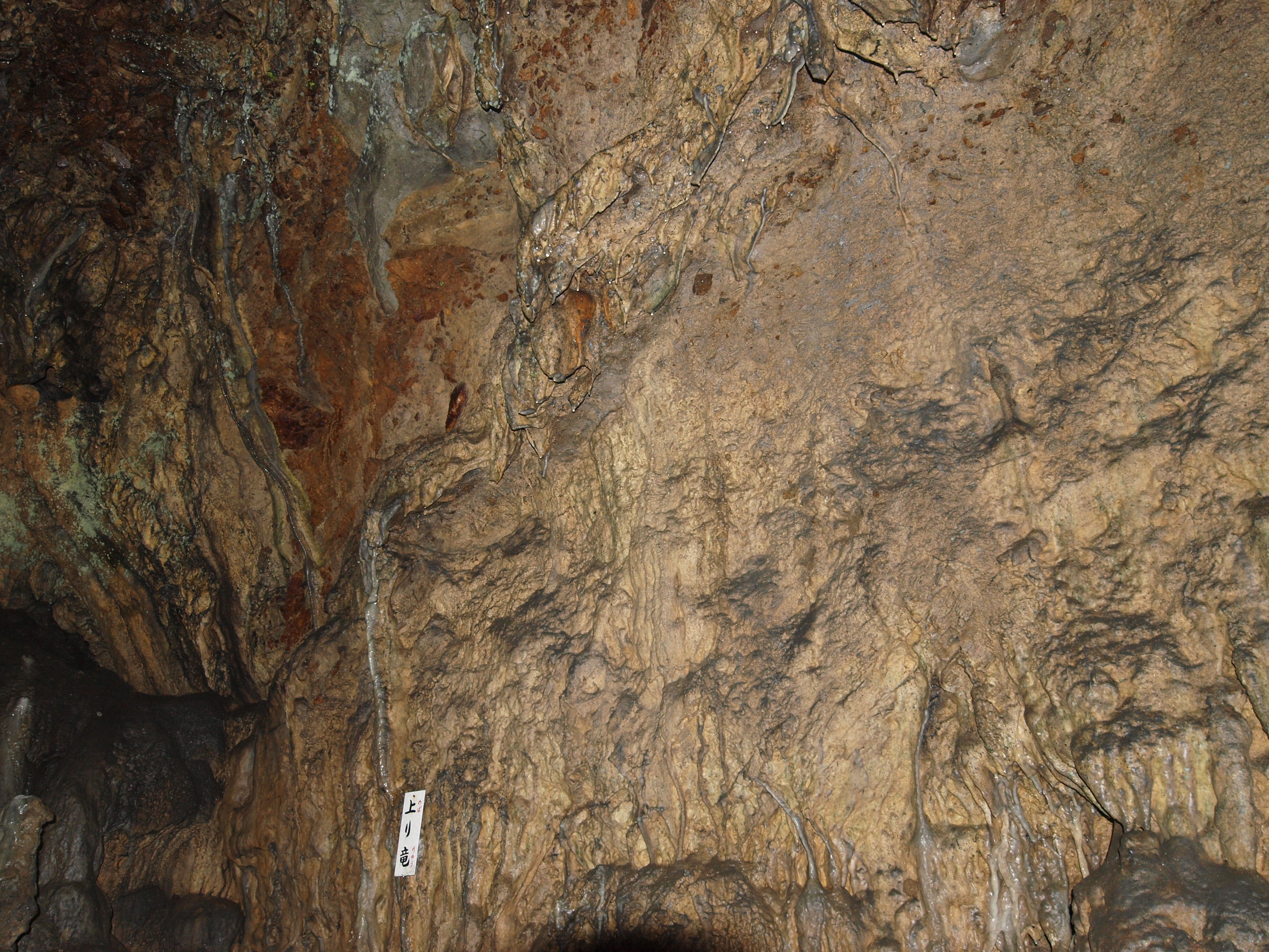 PA254845.JPG