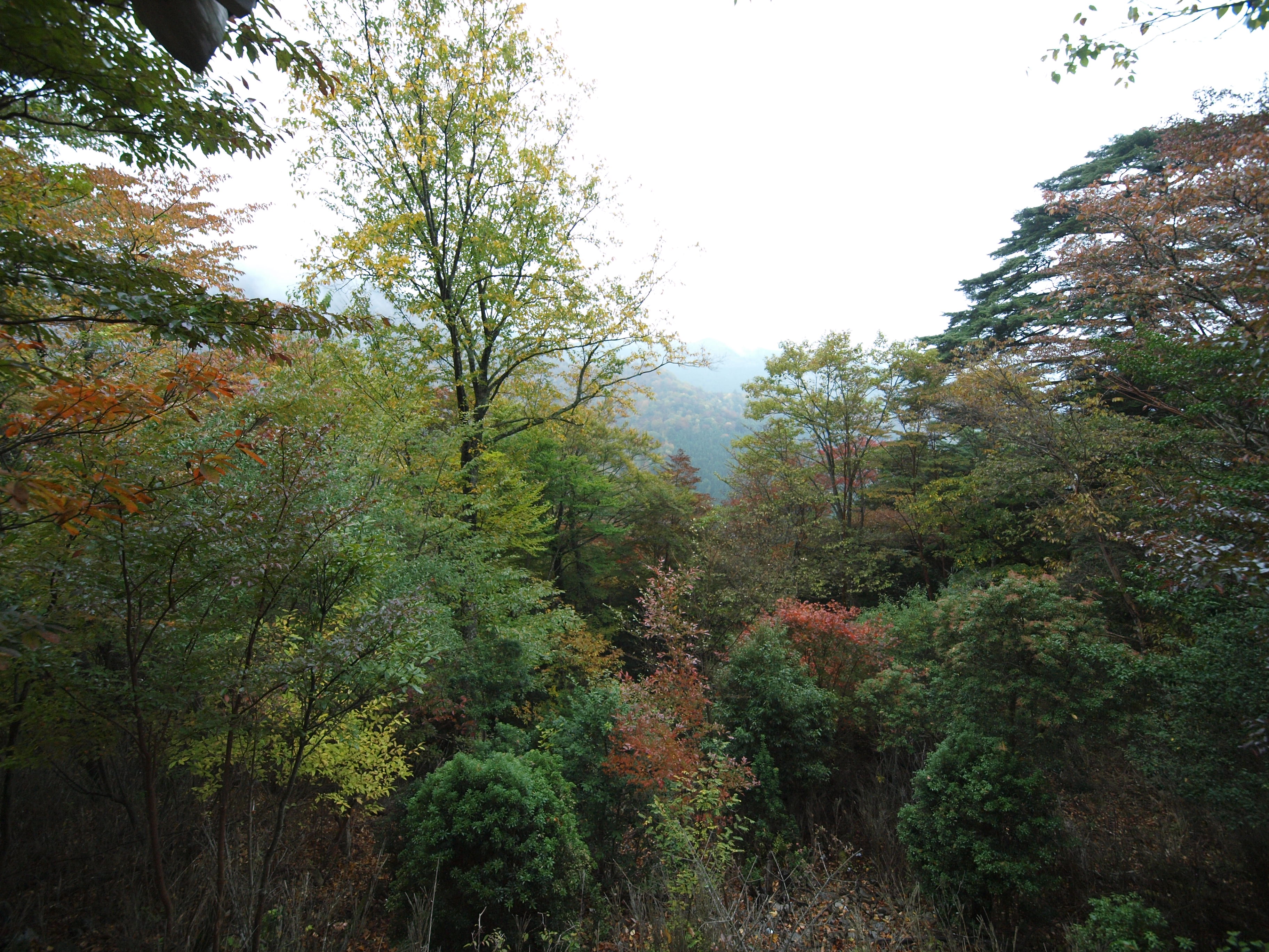 PA254853.JPG