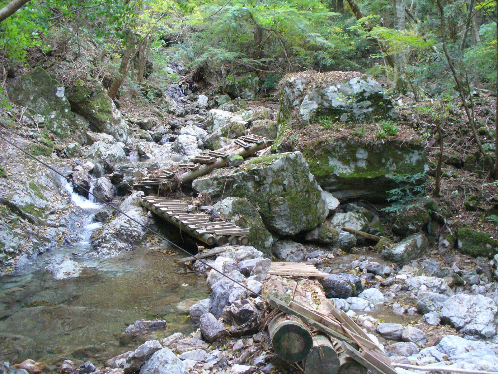 P1130179.JPG