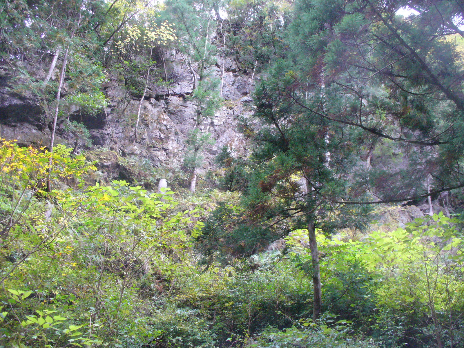 P1130184.JPG