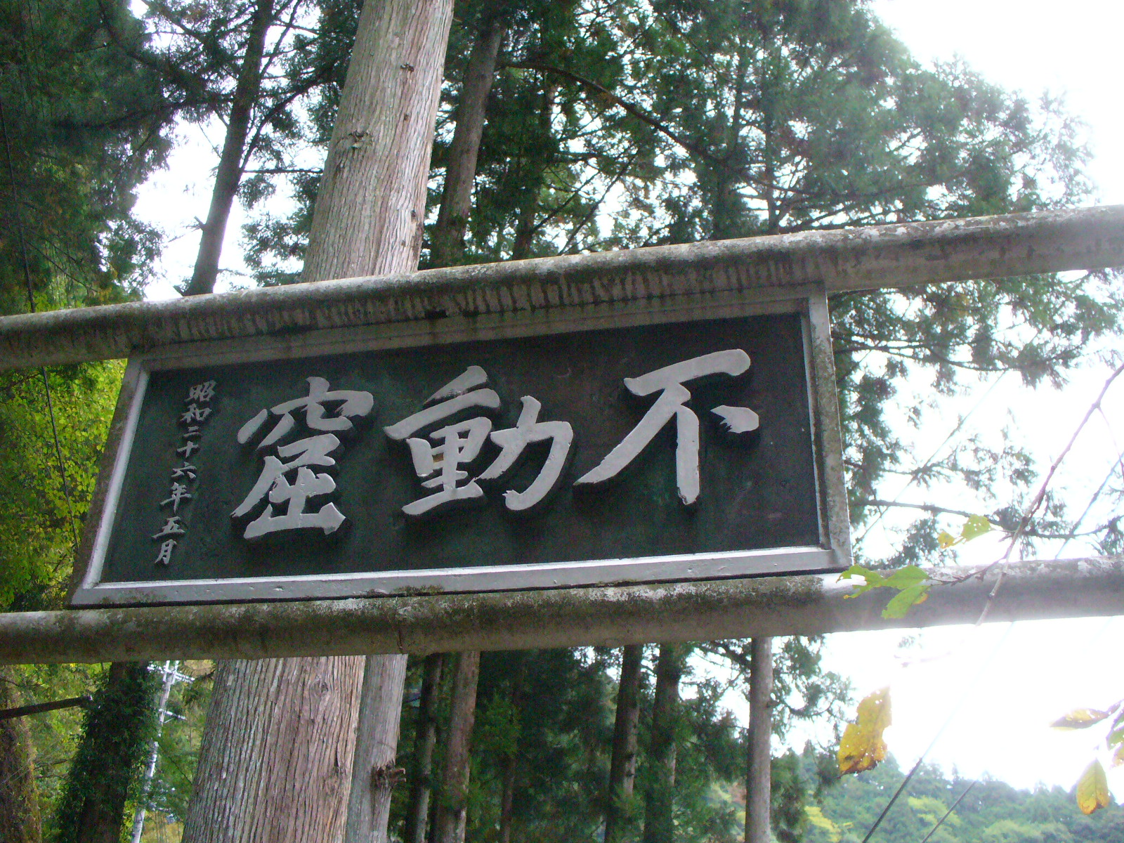 P1130190.JPG