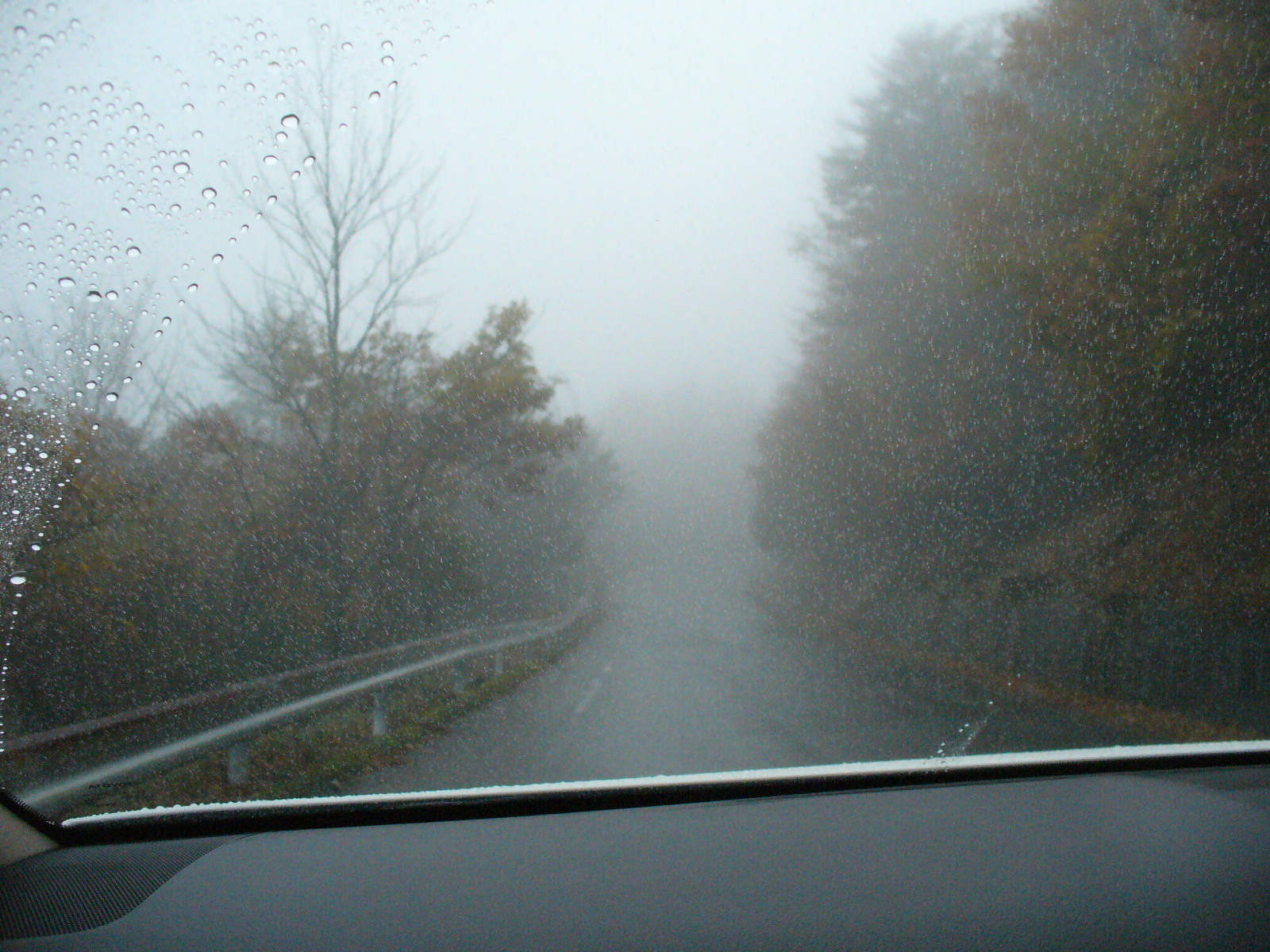 P1130196.JPG