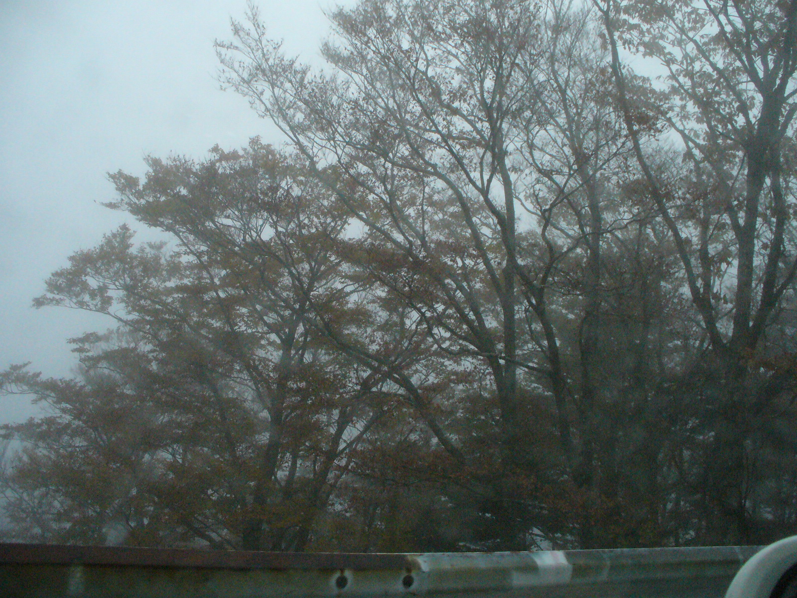 P1130198.JPG