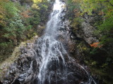 img0005.jpg