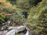 img0015.jpg