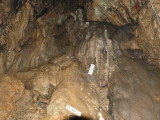 img0037.jpg