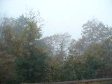 img0045.jpg