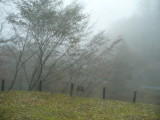 img0049.jpg