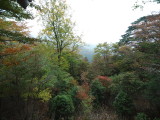 img0055.jpg