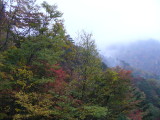 img0058.jpg