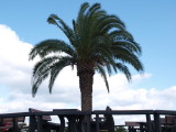 img0010.jpg