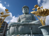 img0027.jpg