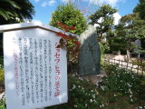 img0033.jpg