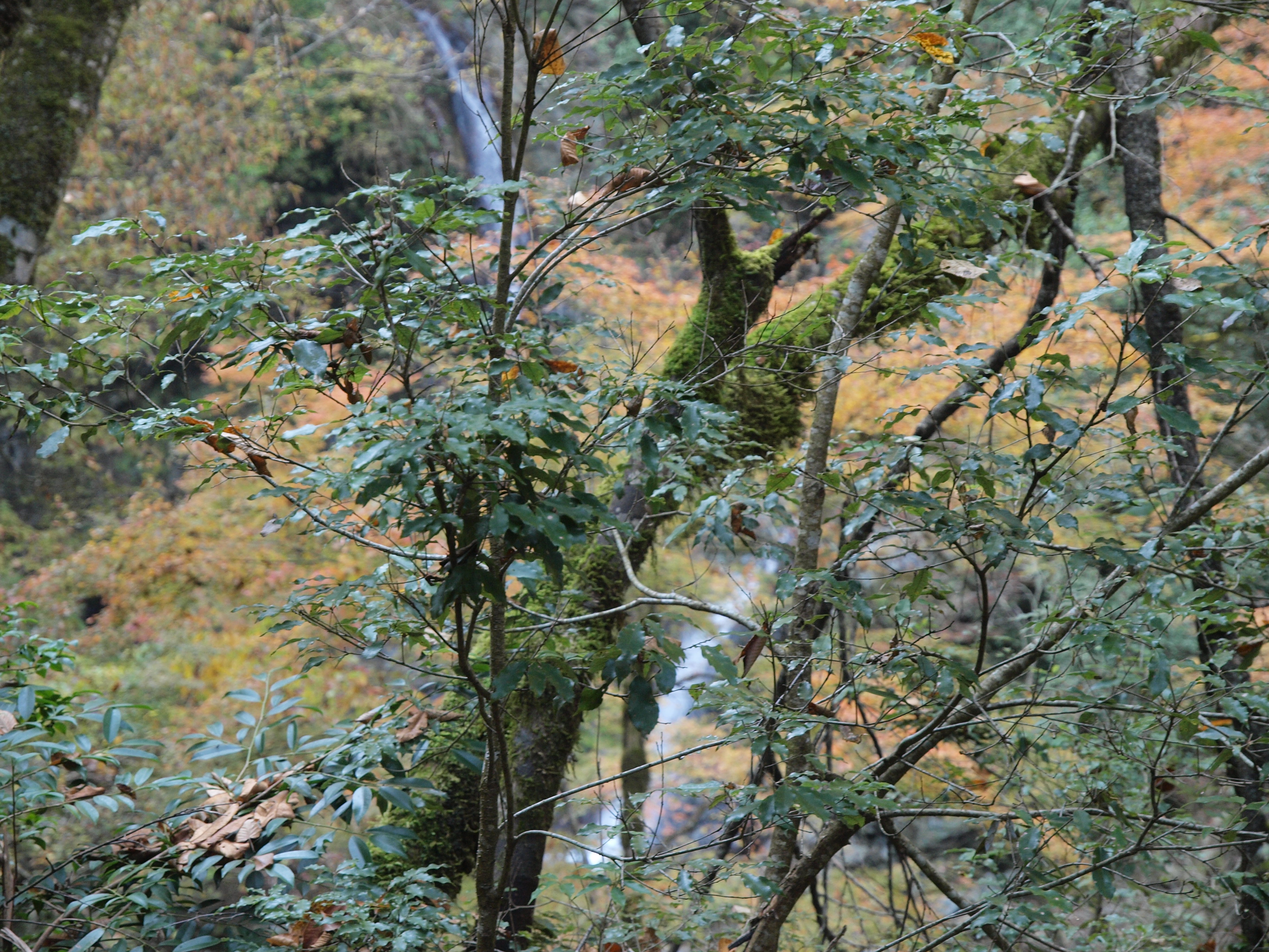 PB084892.JPG