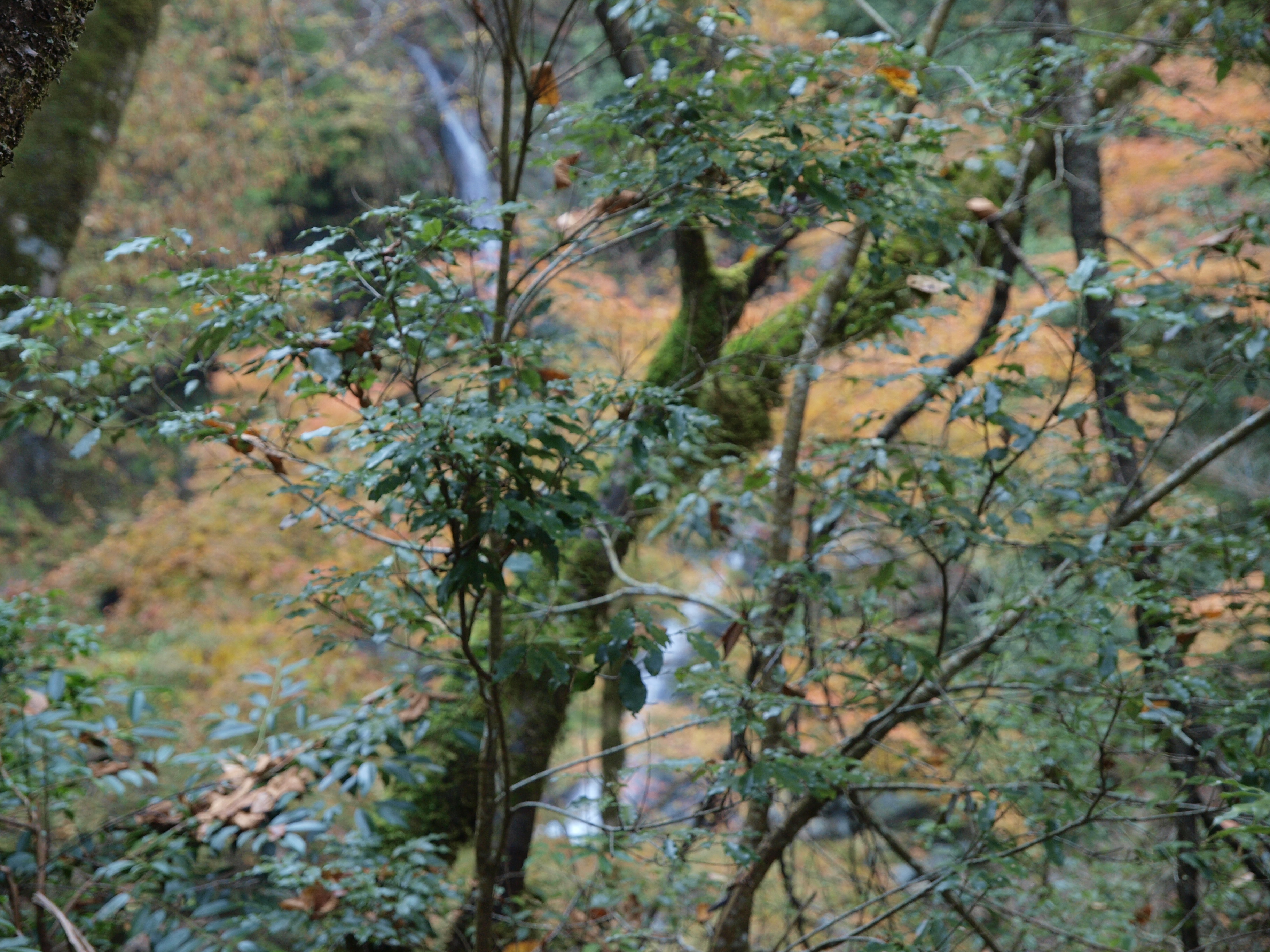 PB084893.JPG