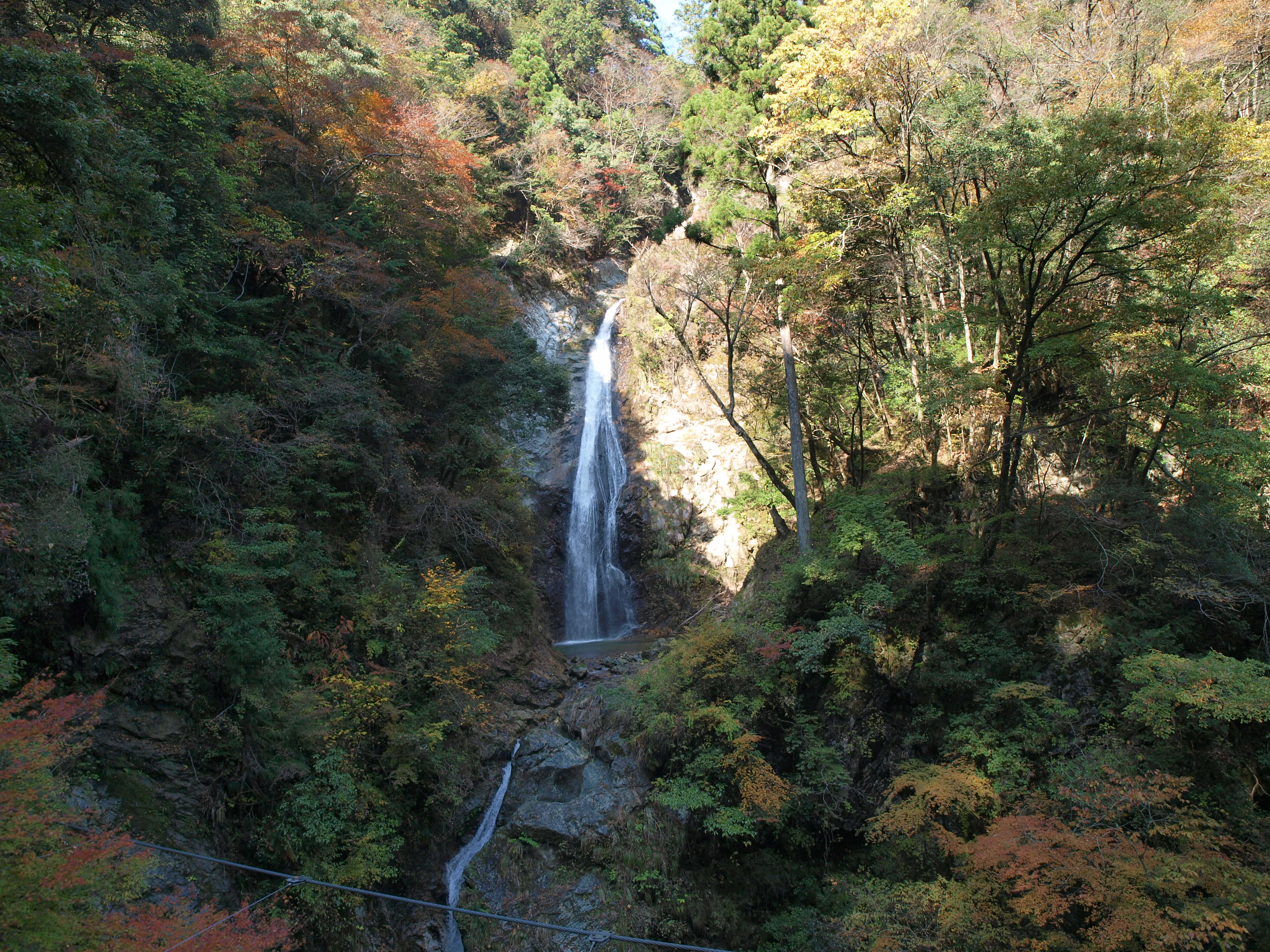 PB084894.JPG