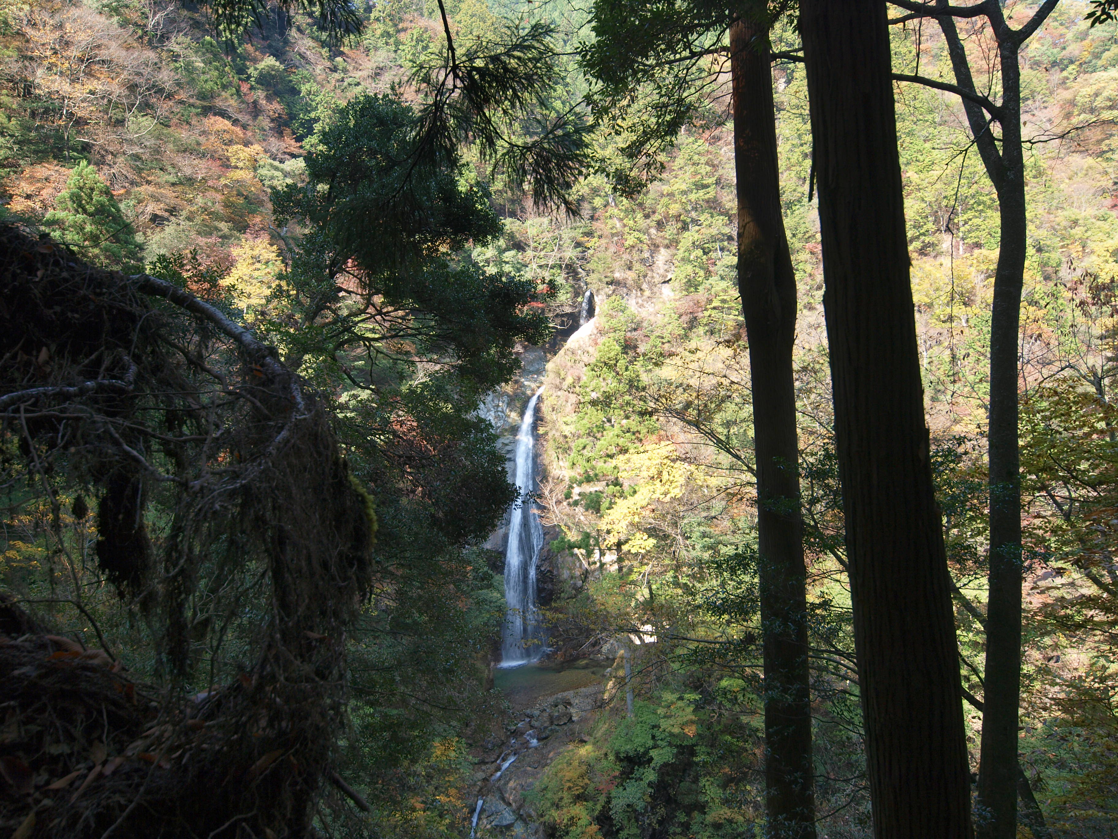 PB084905.JPG