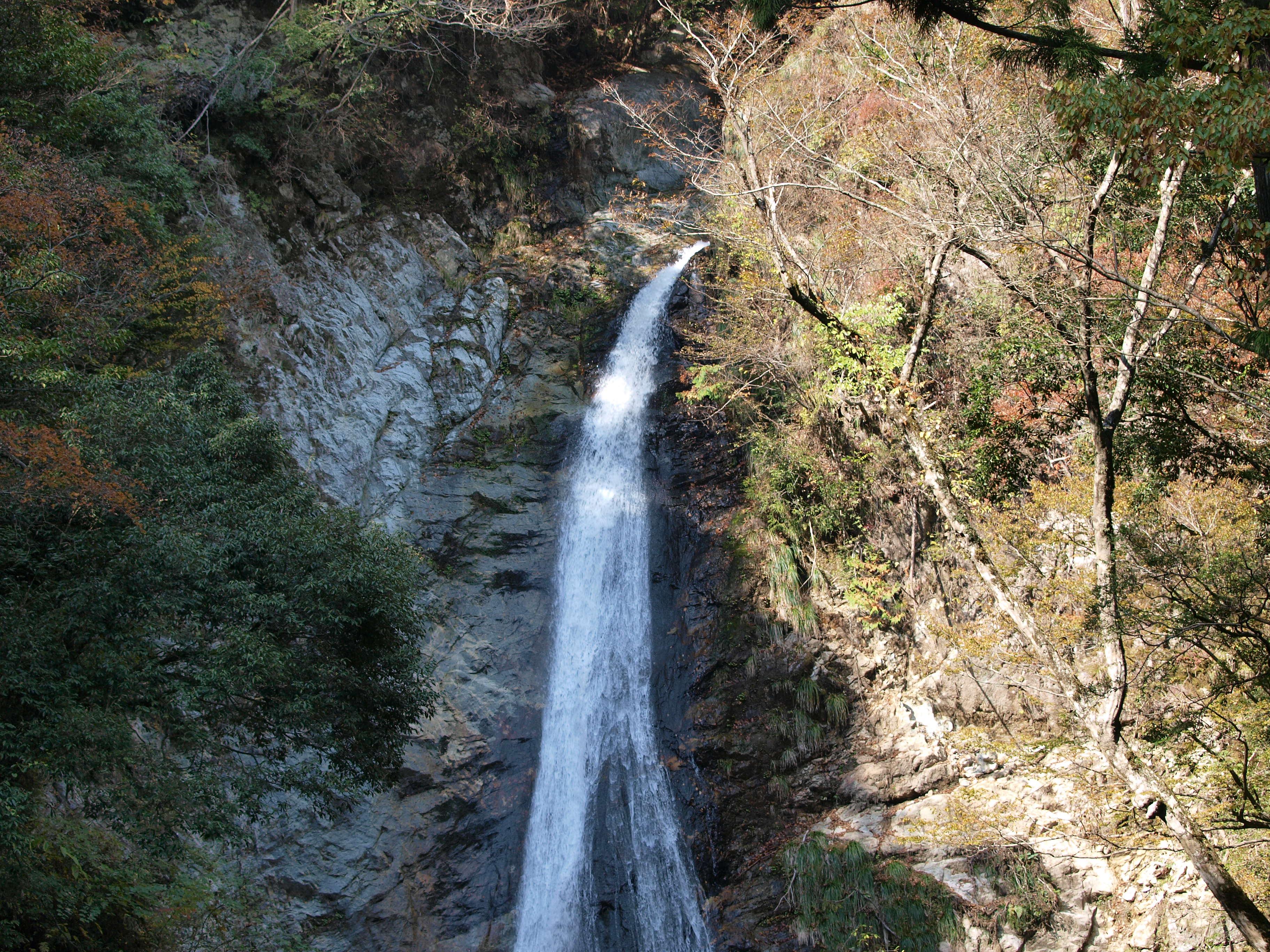 PB084914.JPG