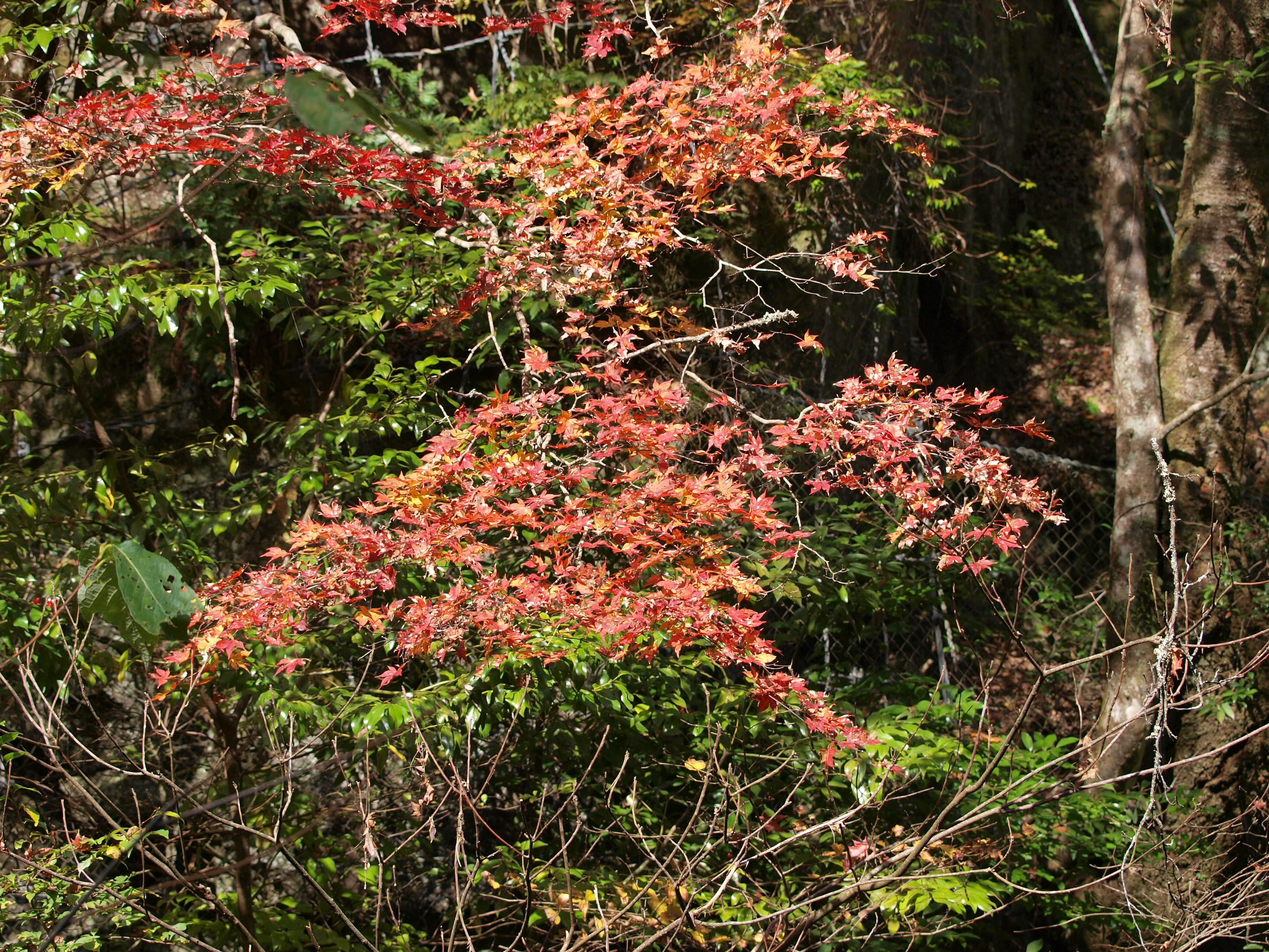 PB084916.JPG