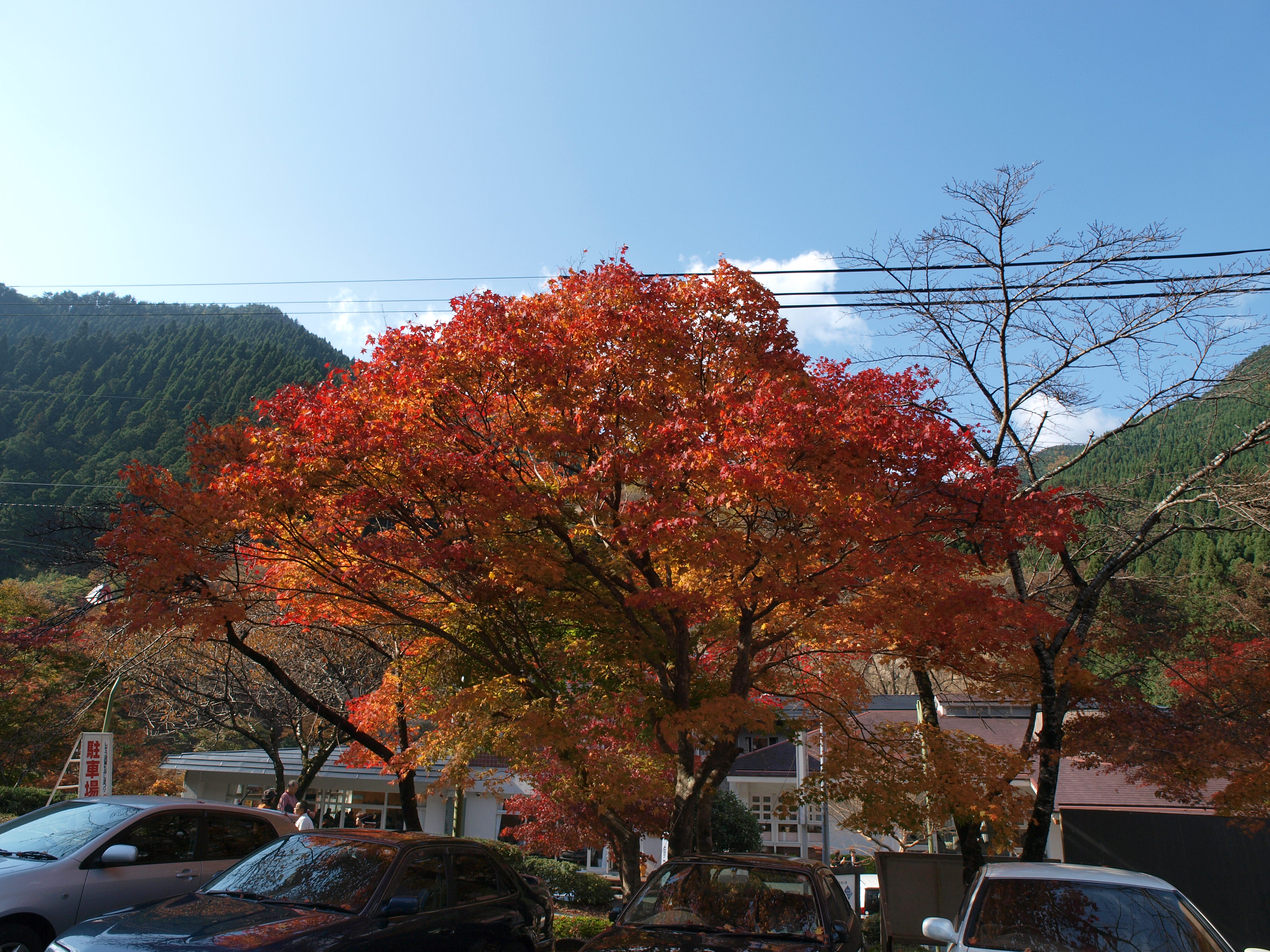 PB084926.JPG