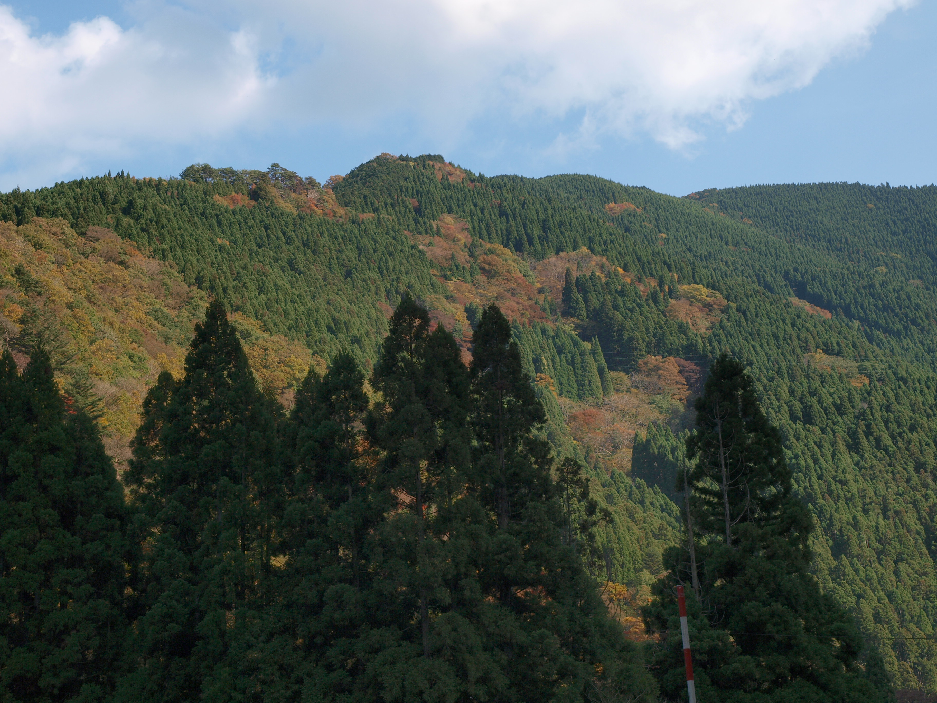 PB084929.JPG